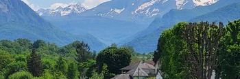 20220510_154500-1.jpg